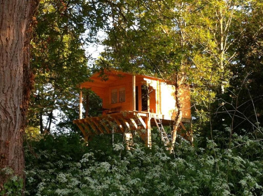 Cabane dans les arbres avec bain nordique en Yvelines