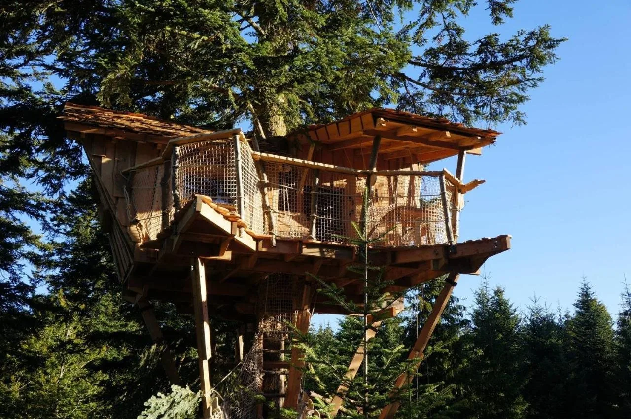 Cabanes des Volcans, cabane dans les arbres avec espace bien-être en Auvergne-Rhône-Alpes