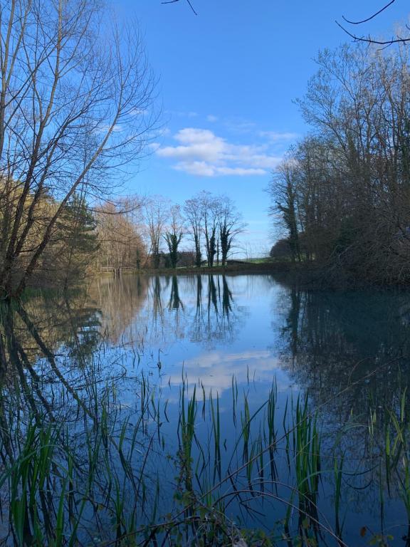 Bulle Domaine de l'étang du Tom et sa bulle en Haute-Marne avec terrasse
