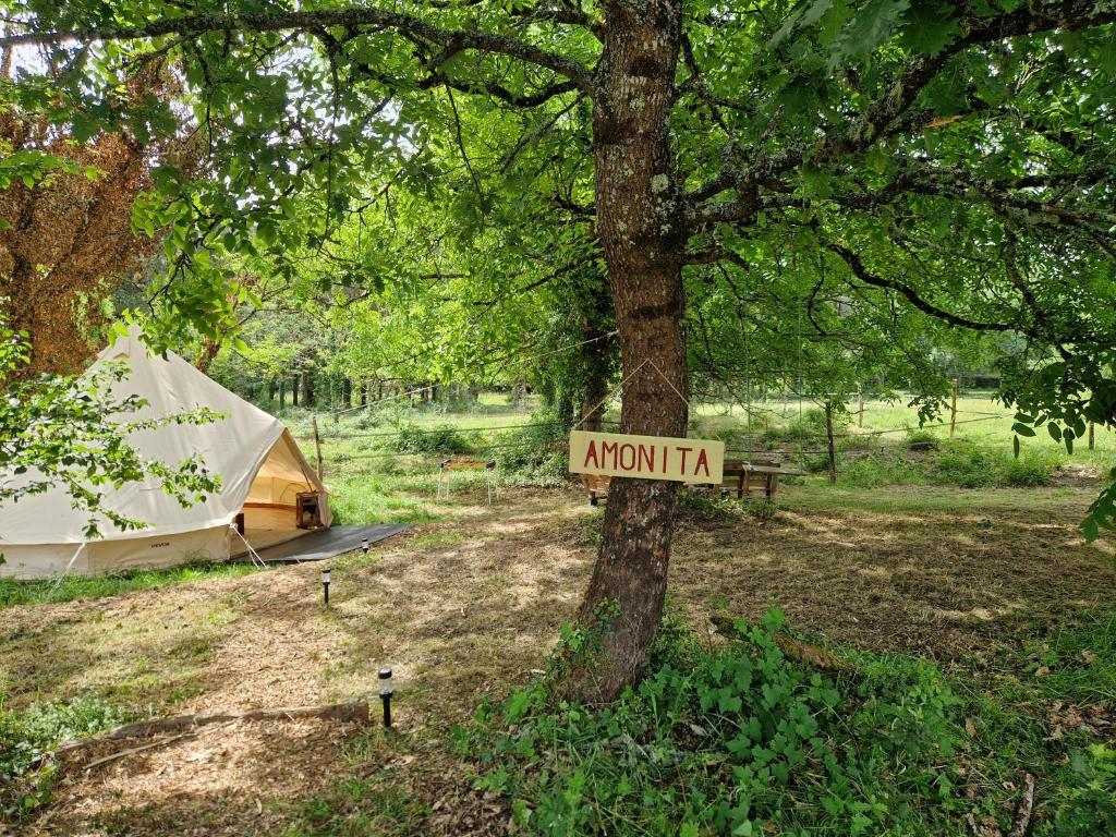 Expérience équestre et bain nordique privé avec espace bien-être, Lot-et-Garonne
