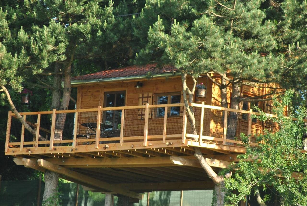 Cabane dans les arbres L'Étournelle - Cabane Perchée dans le Rhône avec terrasse