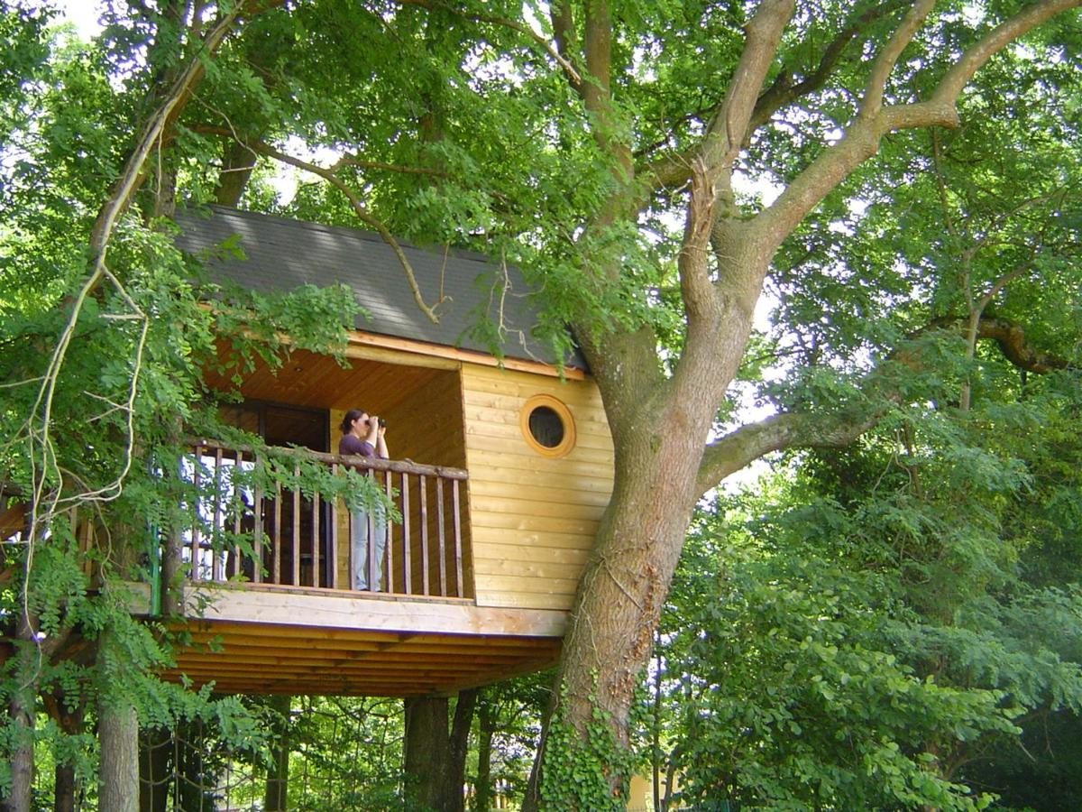 Cabane dans les arbres La Cabane aux Secrets dans la Marne avec sauna