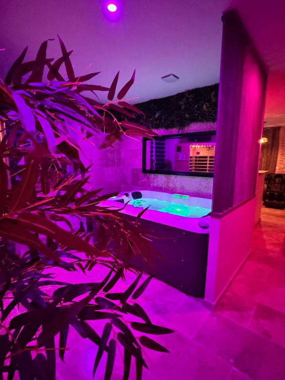 Le boudoir suite&spa à Drôme, Auvergne-Rhône-Alpes
