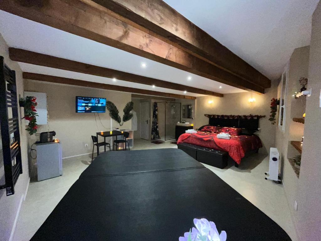 Le Cocon SPA Évasion Privée - jacuzzi - à Hérault, Occitanie