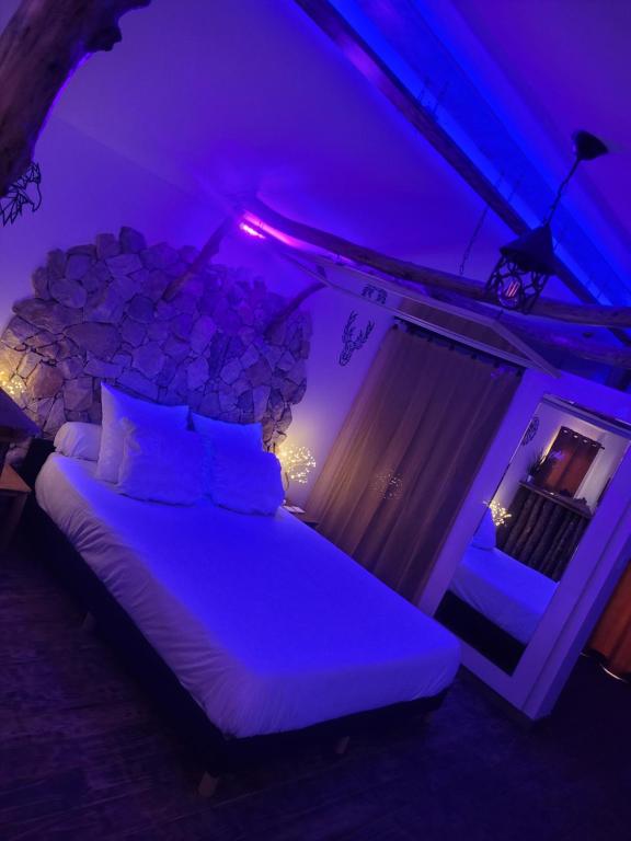 Loveroom LOVE Room Danslesbois avec spa dans les Bouches-du-Rhône avec terrasse