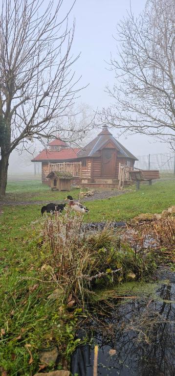 Gîte insolite Nuit insolite, repas autour du feu piscine sauna en Meurthe-et-Moselle