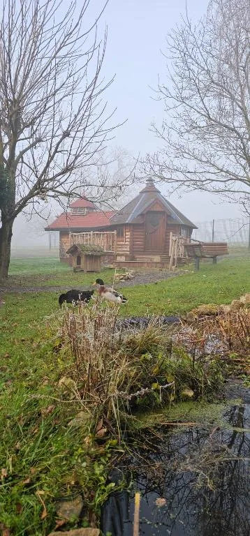 Nuit insolite, repas autour du feu piscine sauna jaccuzi avec spa ou jacuzzi, Azerailles, Meurthe-et-Moselle