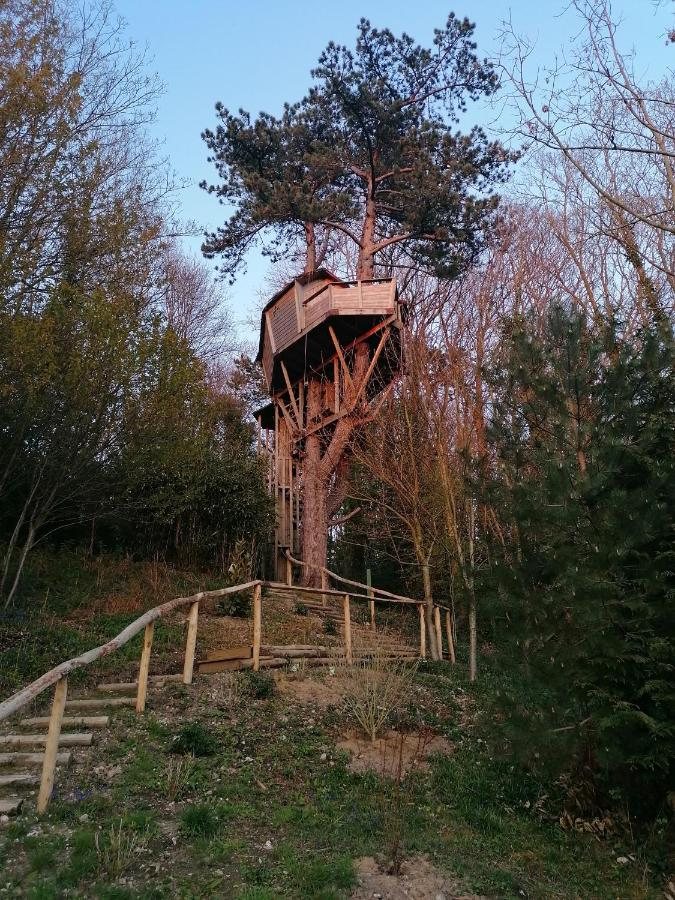 Cabane perchée Sherwood Tree en Normandie
