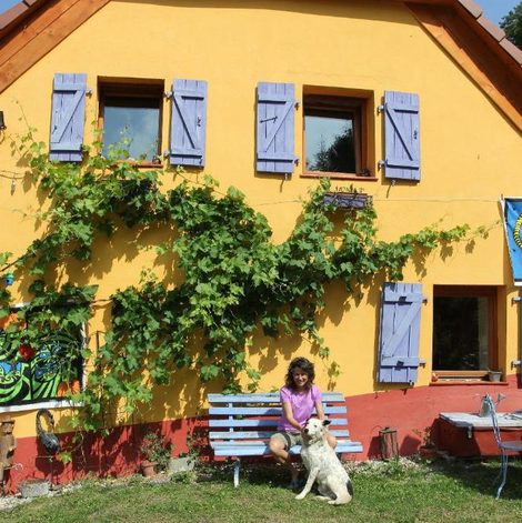 Tente Abri de jardin aménagé, chambre Camping Glamour dans le Bas-Rhin avec terrasse