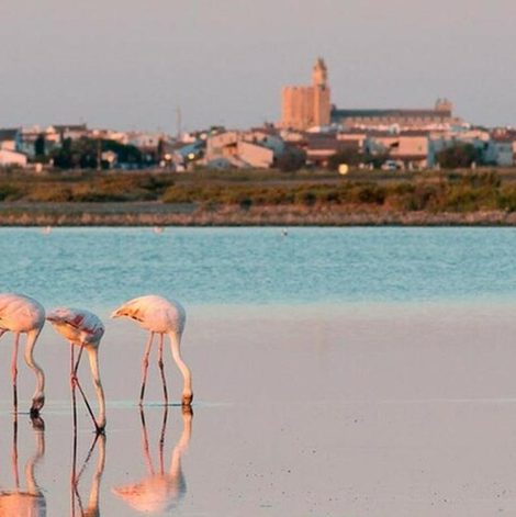 Bateau à quai chaleureux et unique dans l’Hérault avec spa privatif