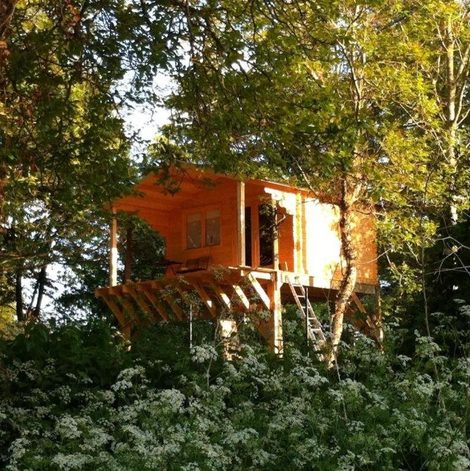 Cabane dans les arbres La Sequana dans les Yvelines avec terrasse