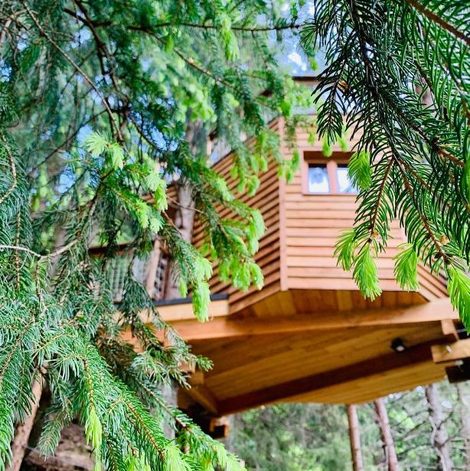 Cabane dans les Arbres de Valmo'Insolite en Savoie