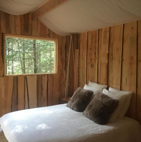 Cabane dans les arbres Cabane de l'Écureuil dans le Puy-de-Dôme avec terrasse