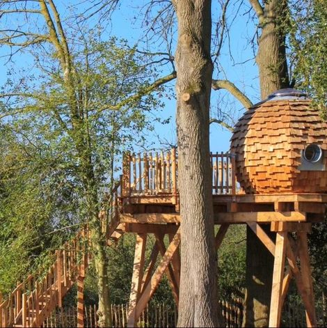 Cabane dans les arbres Cabane perchée sur pilotis dans le Nord avec terrasse