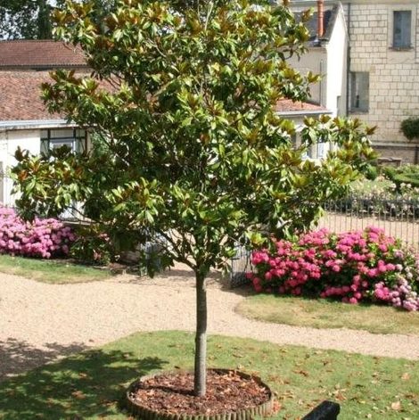 Château de Bournand B&B dans la Vienne avec piscine