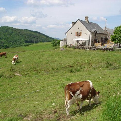 Séjour à la ferme Chez Marraine dans le Cantal avec terrasse