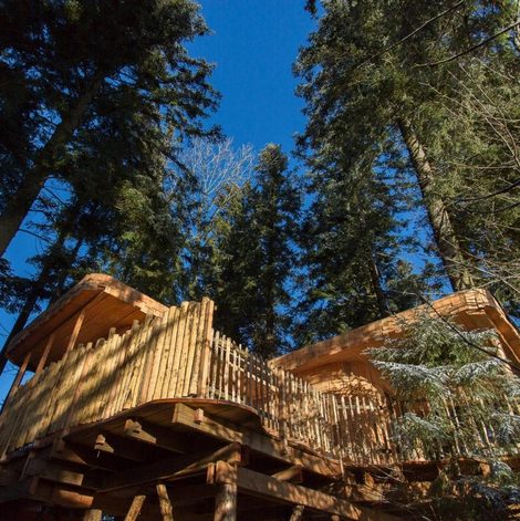 Cabane dans les arbres Domaine de l'Authentique - cabanes dans les arbres dans le Doubs avec terrasse