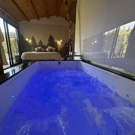 Gîte insolite Domaine des Pins La cabane au bord de en Moselle avec spa privatif