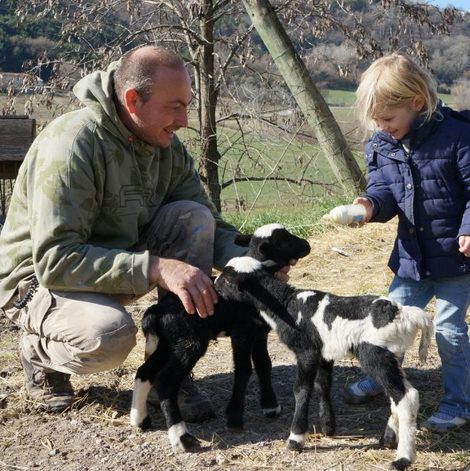 Séjour à la ferme Domaine du Bas Chalus dans les Alpes-de-Haute-Provence avec piscine