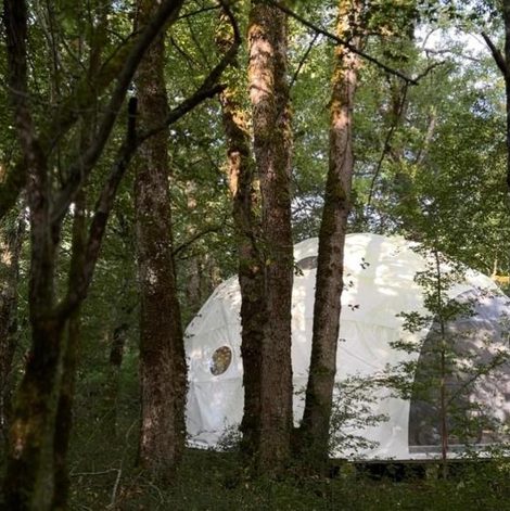 Dôme en forêt en Dordogne avec piscine