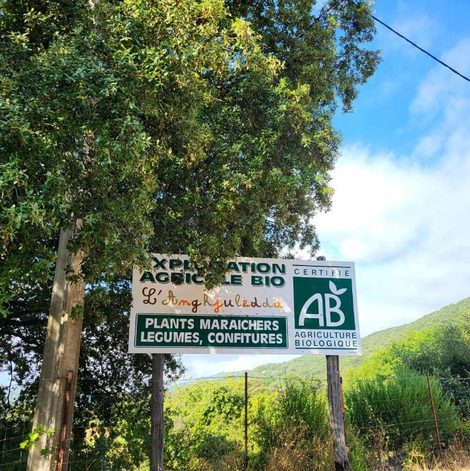 Séjour à la ferme L'Anghjuledda 2 en Corse-du-Sud avec spa privatif