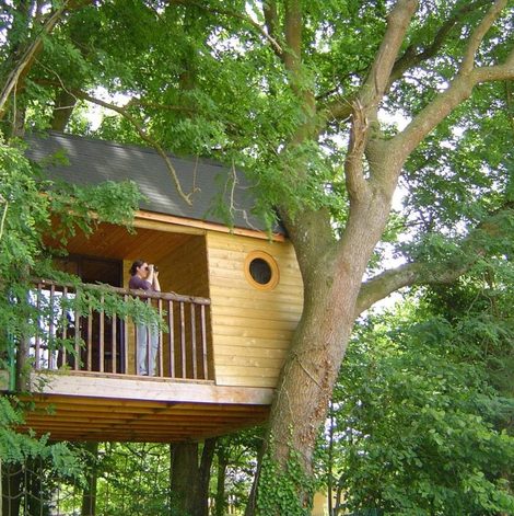 Cabane dans les arbres La Cabane aux Secrets dans la Marne avec sauna
