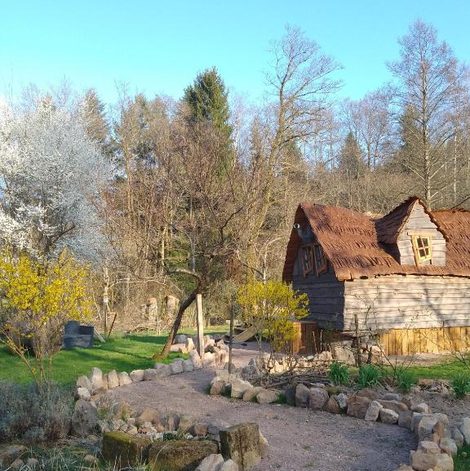 Gîte insolite La cabane de Moïra dans les Vosges avec terrasse