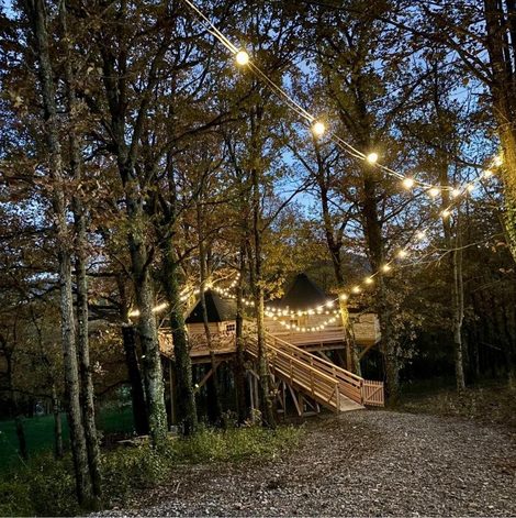 Cabane dans les arbres La Cabane perchée du Grand Chêne dans le Puy-de-Dôme avec terrasse