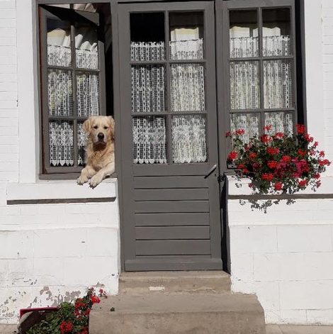 Séjour à la ferme La Ferme De Tigny dans le Pas-de-Calais avec terrasse