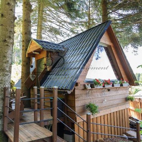 Cabane dans les arbres La Marmotte dans les Vosges avec terrasse