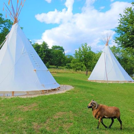 Tipi Le Couche t'Art en Haute-Marne