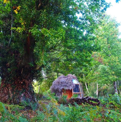 Maison de hobbit Le Cul de Loup du Jardin des Lierres dans le Loir-et-Cher avec terrasse