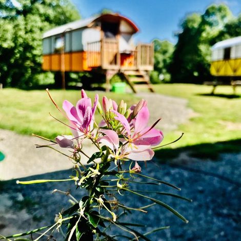 Roulotte les roulottes de l'airou dans la Manche avec terrasse