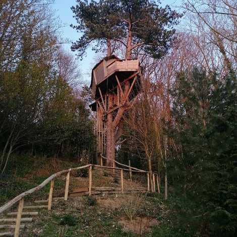 Cabane dans les arbres Sherwood Tree en Seine-Maritime avec sauna