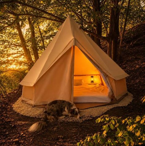Tipi Nature a l'Ombre des Tilleuls à Vialas en Lozère avec terrasse