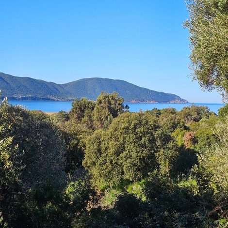 Yourte Corsica vera en Corse-du-Sud avec terrasse