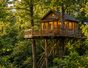 Cabane dans les arbres